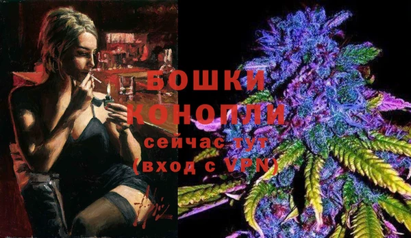 индика Горняк